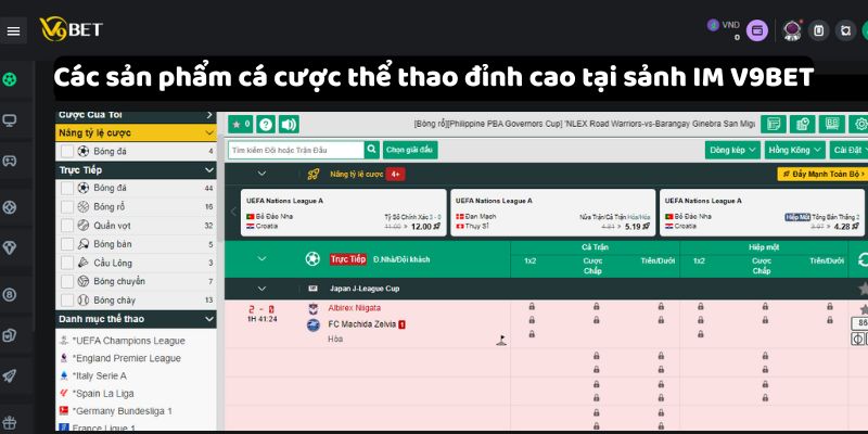 Các sản phẩm cá cược thể thao đỉnh cao tại sảnh IM V9Bet