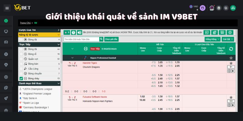 Giới thiệu khái quát về sảnh IM V9Bet