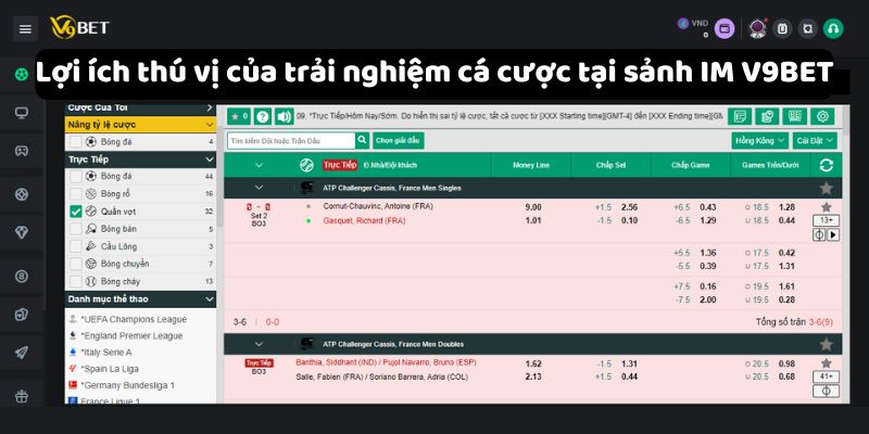 Lợi ích thú vị của trải nghiệm cá cược tại sảnh IM V9Bet