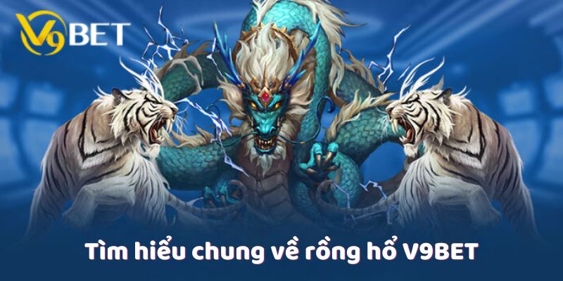 Tìm hiểu chung về rồng hổ V9Bet